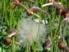 1~5.jpg