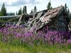 Alaska036.jpg