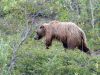 Alaska098.jpg
