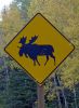 Canada-05-Kk-218b.jpg