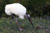 DSC02292k.jpg