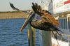 DSC02374k.jpg