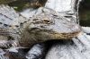 DSC06544k.jpg