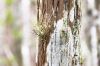 DSC06578k.jpg