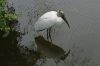 DSC06665k.jpg