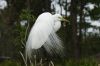 DSC06677k.jpg