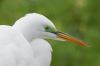 DSC06679k.jpg