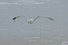 DSC06824kh.jpg