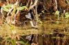 DSC07038k.jpg
