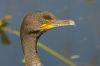 DSC07170k.jpg