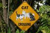 DSC07408b.jpg