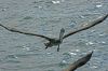 DSC07490k.jpg