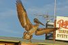 DSC07636k.jpg