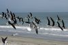 DSC07769n.jpg
